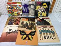 Photo showing twelve vintage vinyl rock albums including Cheap Thrills by Big Brother & The Holding Company, The Best of The Animals, a Butterfly cover album by Bee Gees, and The Monkees greatest hits.