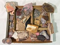Top view of the full box showing all rock and mineral specimens included, highlighting their variety and arrangement.