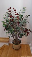 Full view of faux weeping fig tree showing green and red leaves in a beige ceramic pot.