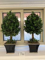 Full view of two faux topiary plants in black pots by a window