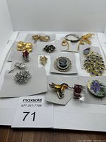Photo of thirteen costume brooches in various styles including floral, animal, and abstract designs, arranged on white cards.