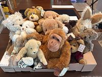 Top view of all 14 stuffed animals showing various sizes, fur colors and textures including brown gorilla at front.