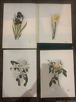 Four botanical prints flat on floor showing entire lot and the embossing hallmark on each