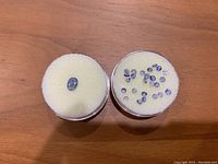 Two round containers on a wooden surface; one contains a single oval tanzanite bead, the other about 25 small round cut tanzanite stones all displayed on yellow foam padding.