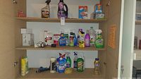 Cleaning products arranged on two shelves inside a cabinet, showing sprays, liquids, and boxes of various brands including Clorox, OxyClean, Mr. Clean, Downy, Goo Gone, and Scrubbing Bubbles.