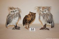 Front view of three owl figurines on a neutral background, two lighter taller owls and one darker smaller owl in center.
