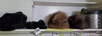 All items: 3 fur hats, black cuffs, and hat box on shelf