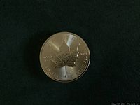 Photo of the coin's maple leaf side with inscriptions and fine silver detail.