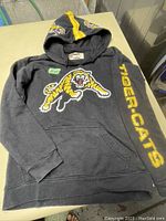 Full view of black kids hoodie with front tiger graphic and 'TIGER-CATS' text on sleeve.