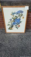 Full framed lithograph showing two Blue Jay birds on a tree branch with flowers, in a wooden frame. The print is clear and colorful, the frame is light wood tone.
