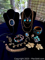 Full view of vintage jewelry collection including necklaces on black busts, multiple bracelets, brooches, and earrings arranged on black cloth