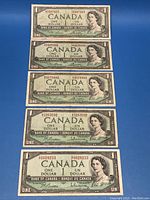 Top view of all five Canadian one dollar banknotes arranged vertically. Front sides visible showing Queen Elizabeth II portrait and serial numbers.