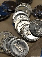 Coins spread out showing front and back sides, highlighting rabbit design and details on the coins.