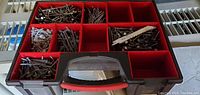 Top view of 12 compartment organizer filled with various nails and screws