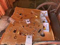 Wide view of cardboard with assorted pendants, chains, rings and earrings
