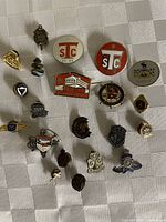 Image showing a group of approximately 23 vintage lapel pins with various designs including Toronto Ski Club badges, BP logos, shields, religious symbols, and club insignias on a white textured fabric.