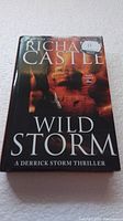 Front cover of 'Wild Storm' by Richard Castle showing a man holding a gun and background with shadows and fire elements.