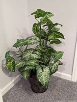 Image showing a high quality life-like artificial Nepthytis plant with variegated leaves in a brown wicker basket placed on carpet near a white wall corner.