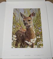 Full view of the "Spring Fawn" print featuring a fawn in grass and wildflowers.