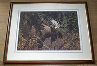 Front view of the framed Carl Brenders print showing the moose in a natural setting.