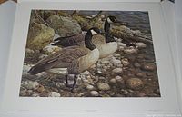 Photo of the Carl Brenders print "The Survivors" showing two Canada Geese by a rocky water edge.