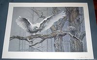 Full view of the Great Snowy Owl print depicting snowy owl in flight among tree branches.