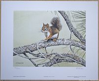 Front of the print showing a red squirrel on tree branches, signed by artist and numbered 192/950.