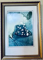 Framed art print showing a single butterfly with black and white wings on blue-green leafy background in gold frame