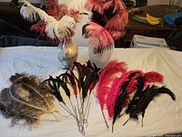 Grouped large and small decorative feathers in white, reddish-brown, natural brown, black, and red displayed with two vases on a white cloth surface.