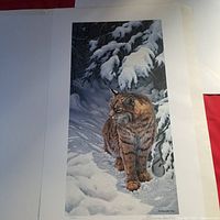 Lithograph artwork featuring a bobcat walking on snow under pine trees with snow-covered branches, signed by artist.