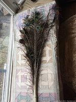 Multiple peacock feathers laid out on a patterned cloth near a window, showing the full length and colorful eye details of the feathers.