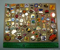 Full view of assorted vintage pins arranged on display board showing colorful enamel pins with various themes including animals, sports, logos, geographic symbols, and novelty designs.