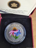 Photo of the 2013 Canadian 25 cent coin in protective capsule with colored design of purple coneflower and Eastern Tailed Blue butterfly inside black velvet presentation box.