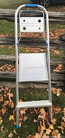 Front view of Reynolds 2-step aluminum step ladder showing metal frame, two steps, blue foam handle grip, and rubber feet on grassy ground with wooden fence background.