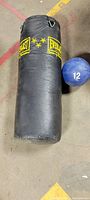 Photo of Everlast heavy bag and adjacent blue 12 lb medicine ball on concrete floor.