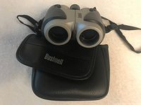 Photo showing gray and black Bushnell binoculars resting on their carrying case, highlighting size and design.