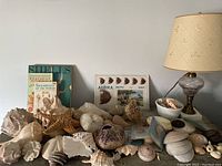 Collection of assorted seashells along with the two books and Hawaiian souvenir card displayed on a flat surface next to a small glass lamp with a beige shade.