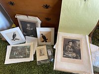 Overview of seven vintage unframed prints of varied subjects including portraits, birds, hunting scenes, and a small figure, laid out on green carpet and leaning against furniture.