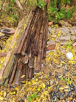 Photo showing a pile of old, heavily weathered wooden beams from an 1800s house with visible rot and rough ends.