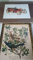 Top and bottom view of one framed bird print featuring two birds on green leafy branches