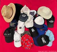 Overview photo of the 16 assorted hats including straw panama hat, trucker hats, baseball caps in various colors and styles.