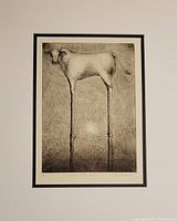 Frontal view of the etching showing the full image of the surreal cow with elongated legs and visible bones, matted and framed with a white and black border.