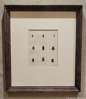 Framed insect plate showing the full view of the plate and frame, insects arranged in three rows.