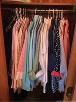 A closet rod with 17 assorted ladies blouses and shirts hanging, showing various colors including pink, blue, white, and navy with different patterns.