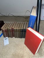 Photo shows the complete set of about 14 books arranged upright and flat, with variety of binding colors included blue and red hardcovers