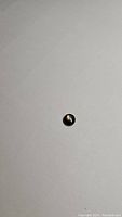 Top view of the small round black star sapphire cabochon showing star asterism effect on a light background.
