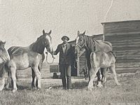 Close-up showing detail of man holding horse reins with wooden ranch building in background in early 1900s black and white photograph.