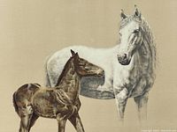 Close-up photo of print showing white horse and brown foal, signed by Charles Chic Bragg.
