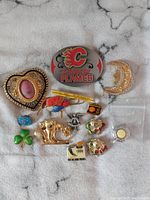 All 14 different pins shown on surface, varied designs including sports logo, animals, floral, and decorative styles