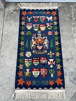 Full view of rug laid on concrete showing entire design, fringe and overall condition